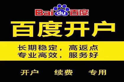 实战解析：百度推广开户成功案例分析